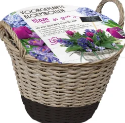 Intratuin Florex Korb mit 50 Blumenzwiebeln (vorgepflanzt) schwarz| Blumenzwiebeln Im Topf|Blühende Pflanzen