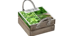 Intratuin Florex Kräutersamen Box mit 4 Küchenkräutern 18 x 19,5 x 9 cm| Kräutersamen|Saatgut