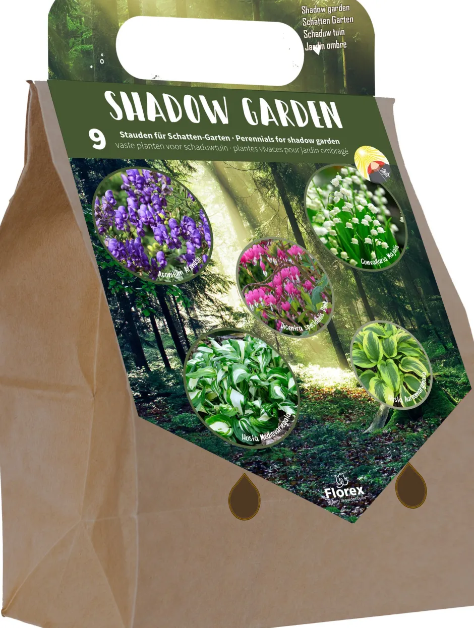 Intratuin Florex Pick Up Bags Schattengarten Blumenzwiebeln 9 St.| Saatgut|Pflanzen Für Schatten