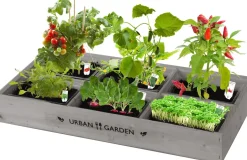 Intratuin Florex Urban Garden Gemüsebox Anzucht-Set| Gemüsesamen|Saatgut