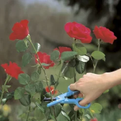 Intratuin Gardena Multifunktionale Blumenschere| Blumenscheren|Schneiden & Stutzen