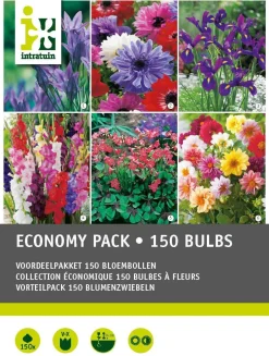 Intratuin Großpackung Blumenzwiebeln Mischung 150 St.| Sommer-Blüher|Blumenzwiebeln