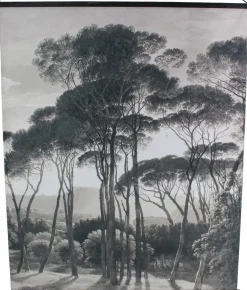 Intratuin HD Collection Stoffbild Velvet schwarz-weiß 140 x 170 cm| Wandteppiche