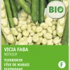 Intratuin Ackerbohne (Vicia faba 'Weißkeimling') (BIO) Samen| Gemüsesamen|Saatgut