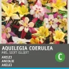 Intratuin Akelei (Aquilegia coerulea 'Mrs Scott Elliot') Blumensamen| Saatgut|Blühende Pflanzen