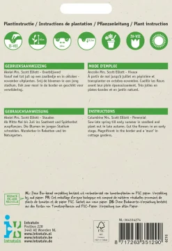 Intratuin Akelei (Aquilegia coerulea 'Mrs Scott Elliot') Blumensamen| Saatgut|Blühende Pflanzen