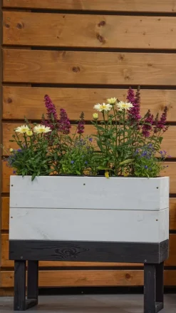 Intratuin Anzuchtkasten Dubba hoch grau/weiß 61 x 33 x 54 cm| Anzuchtkästen & Mini-Gewächshäuser