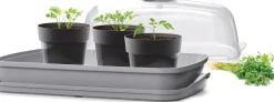 Intratuin Anzuchtkasten mit Deckel grau 39,1 x 25,7 x 18,5 cm| Anzuchtkästen & Mini-Gewächshäuser