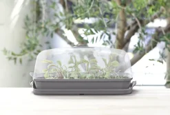 Intratuin Anzuchtkasten mit Deckel grau 39,1 x 25,7 x 18,5 cm| Anzuchtkästen & Mini-Gewächshäuser