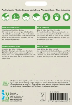 Intratuin Bartnelke (Dianthus barbatus 'Wee Willie') Blumensamen| Saatgut|Blühende Pflanzen