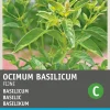 Intratuin Basilikum feinblättrig (Ocimum basilicum) Samen| Kräutersamen|Saatgut