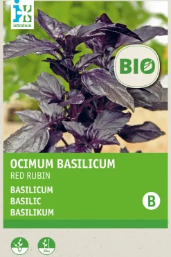 Intratuin Basilikum rot (Basilicum 'Red Rubin') (BIO) Samen| Kräutersamen|Saatgut