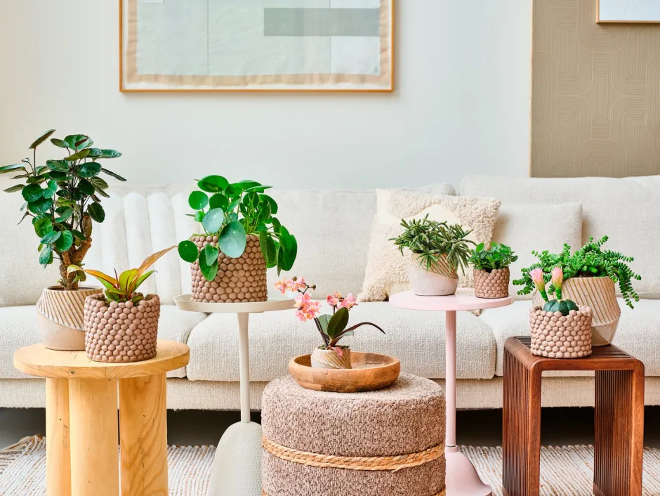 Intratuin Beistelltisch Eza natur 30 x 30 x 85 cm| Beistelltische|Beistelltische