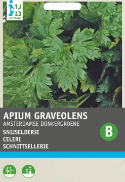 Intratuin Blattsellerie (Apium graveolens) Samen| Kräutersamen|Saatgut