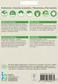 Intratuin Blattsellerie (Apium graveolens) Samen| Kräutersamen|Saatgut