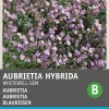 Intratuin Blaukissen lila (Aubrietia hybrida 'Whitewell') Blumensamen| Saatgut|Blühende Pflanzen