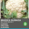 Intratuin Blumenkohl (Brassica oleracea 'Walcheren Winter') Samen| Gemüsesamen|Saatgut