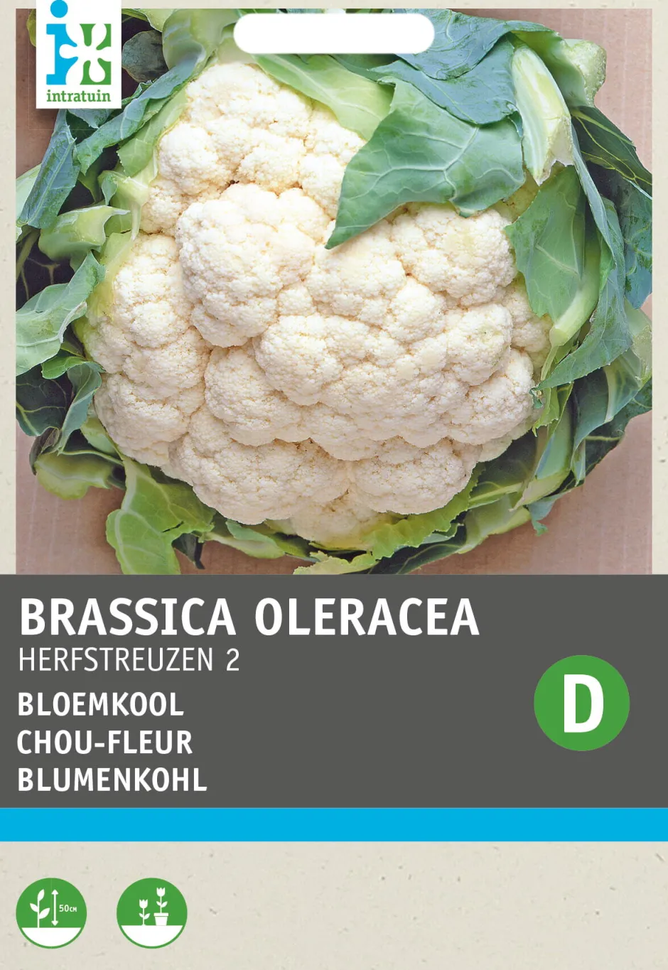 Intratuin Blumenkohl (Brassica oleracea 'Herbstriesen') Samen| Gemüsesamen|Saatgut