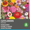 Intratuin Blumensamen-Mischung Schnittblumen| Saatgut|Blühende Pflanzen