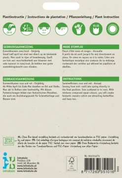 Intratuin Blumensamen-Mischung Sommerblumen rosa-rot| Blühende Pflanzen|Saatgut