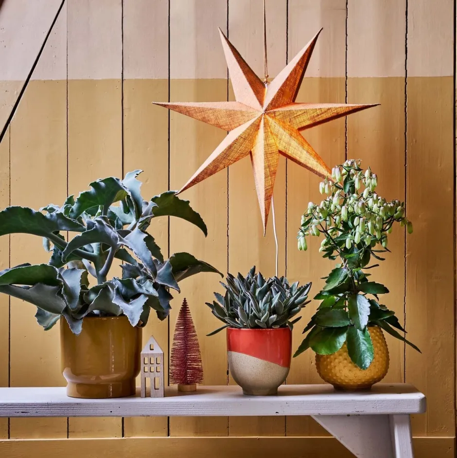 Intratuin Blumentopf Din gelb D 18,5 H 16,2 cm| Blumentöpfe|Blumentöpfe & Pflanzgefäße