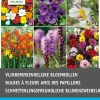 Intratuin Blumenzwiebel-Mischung schmetterlingsfreundliche Blumen 36 St.| Frühlings-Blüher|Blumenzwiebeln