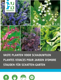 Intratuin Blumenzwiebel-Mischung Schattenstauden 10 St.| Sommer-Blüher|Blumenzwiebeln