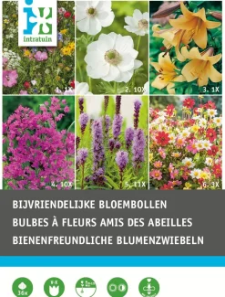 Intratuin Blumenzwiebel-Mischung bienenfreundliche Blumen 36 St.| Frühlings-Blüher|Blumenzwiebeln