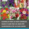 Intratuin Blumenzwiebel-Mischung für 100 Tage Sommerblüten 60 St.| Frühlings-Blüher|Blumenzwiebeln