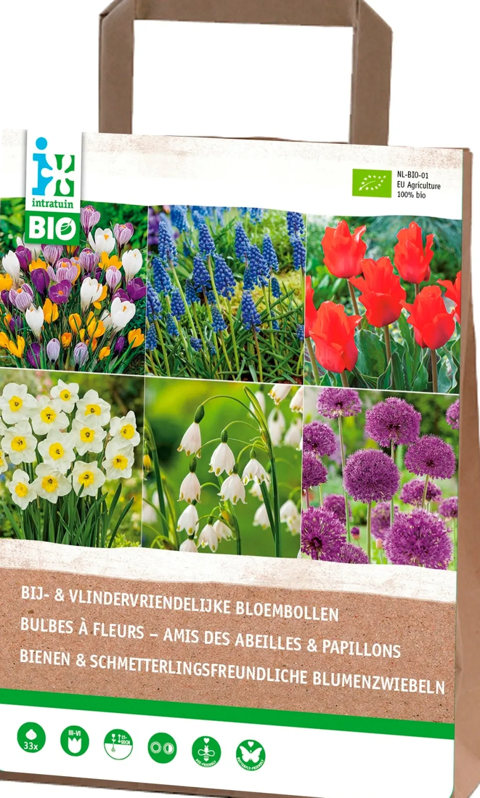 Intratuin Blumenzwiebeln für Bienen und Schmetterlinge (BIO) gemischt 33 St.| Frühlings-Blüher|Blumenzwiebeln