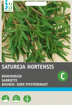 Intratuin Bohnenkraut einjährig (Satureja hortensis) Samen| Kräutersamen|Saatgut