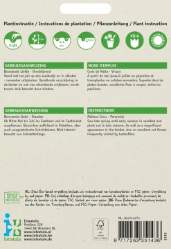 Intratuin Brennende Liebe rot (Lychnis chalcedonica) Blumensamen| Saatgut|Blühende Pflanzen