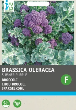 Intratuin Brokkoli (Brassica italicum 'Summer Purple') Samen| Gemüsesamen|Saatgut