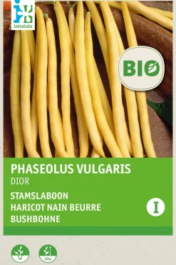Intratuin Buschbohne gelb (Phaseolus vulgaris 'Dior') (BIO) Samen| Gemüsesamen|Saatgut