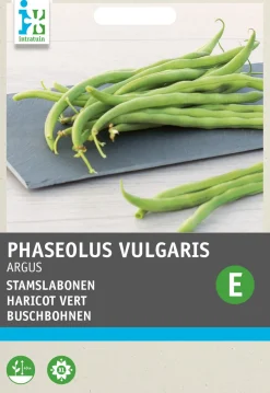 Intratuin Buschbohne (Phaseolus vulgaris 'Haricot Vert Argus') Samen| Gemüsesamen|Saatgut