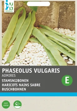 Intratuin Buschbohne (Phaseolus vulgaris 'Admires') Samen| Gemüsesamen|Saatgut