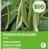 Intratuin Buschbohne (Phaseolus vulgaris 'Maxi') (BIO) Samen| Gemüsesamen|Saatgut