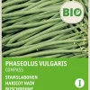 Intratuin Buschbohne (Phaseolus vulgaris 'Compass') (BIO) Samen| Gemüsesamen|Saatgut