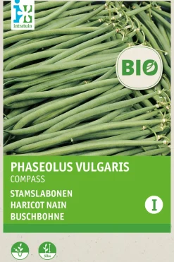 Intratuin Buschbohne (Phaseolus vulgaris 'Compass') (BIO) Samen| Gemüsesamen|Saatgut