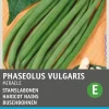 Intratuin Buschbohne (Phaseolus vulgaris 'Miracle') Samen| Gemüsesamen|Saatgut