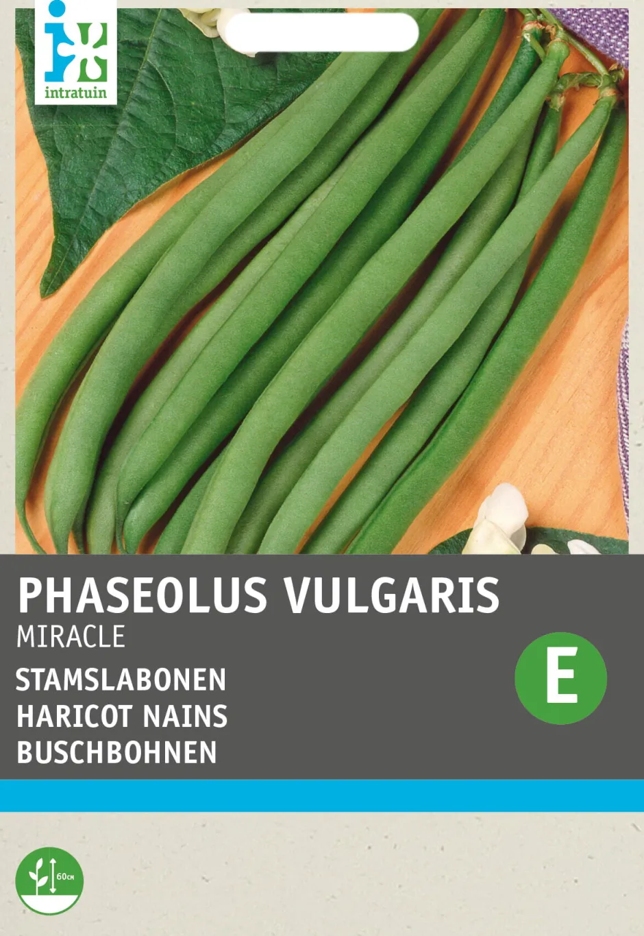 Intratuin Buschbohne (Phaseolus vulgaris 'Miracle') Samen| Gemüsesamen|Saatgut