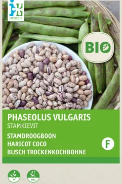 Intratuin Busch-Trockenbohne (Phaseolus vulgaris 'Stammkievit') (BIO) Samen| Gemüsesamen|Saatgut