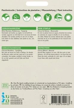 Intratuin Chicoree (Cichorium intybus 'Mechelner') Samen| Gemüsesamen|Saatgut