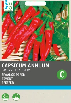 Intratuin Chili Cayenne (Capsicum Annuum 'De Cayenne') Samen| Gemüsesamen|Saatgut