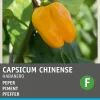Intratuin Chili Habanero (Capsicum annuum 'Habanero Oranje') Samen| Gemüsesamen|Saatgut