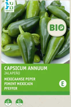 Intratuin Chili (Solanum jalapeno) (BIO) Samen| Gemüsesamen|Saatgut