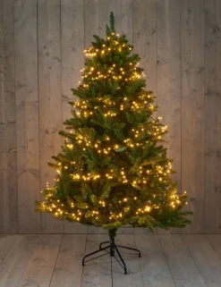 Intratuin Cluster-Lichterkette 12,5 m mit 960 LED Lämpchen klassisch warm| Weihnachtsbaumbeleuchtung