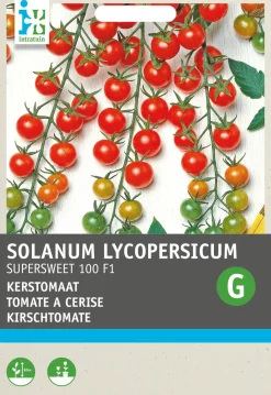 Intratuin Cocktailtomate (Solanum lycopersicum 'Supersweet 100 F1') Samen| Gemüsesamen|Saatgut