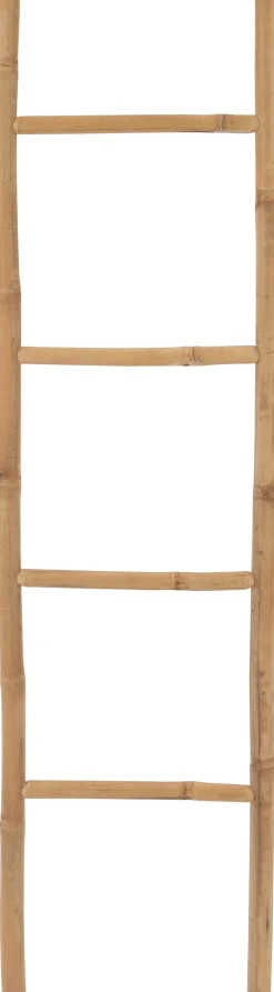 Intratuin Dekoleiter Bambus 50 x 170 cm| Dekoleitern