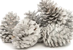 Intratuin Deko-Tannenzapfen groß weiß 200 g| Weihnachts- & Adventsdeko